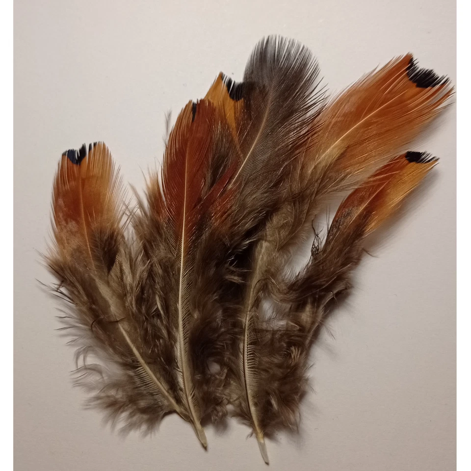 Flausch Federn mit Muster Braun 4cm - 8cm Basteln Echte Feder dunkel Basteln 5cm - Bild 3 von 4