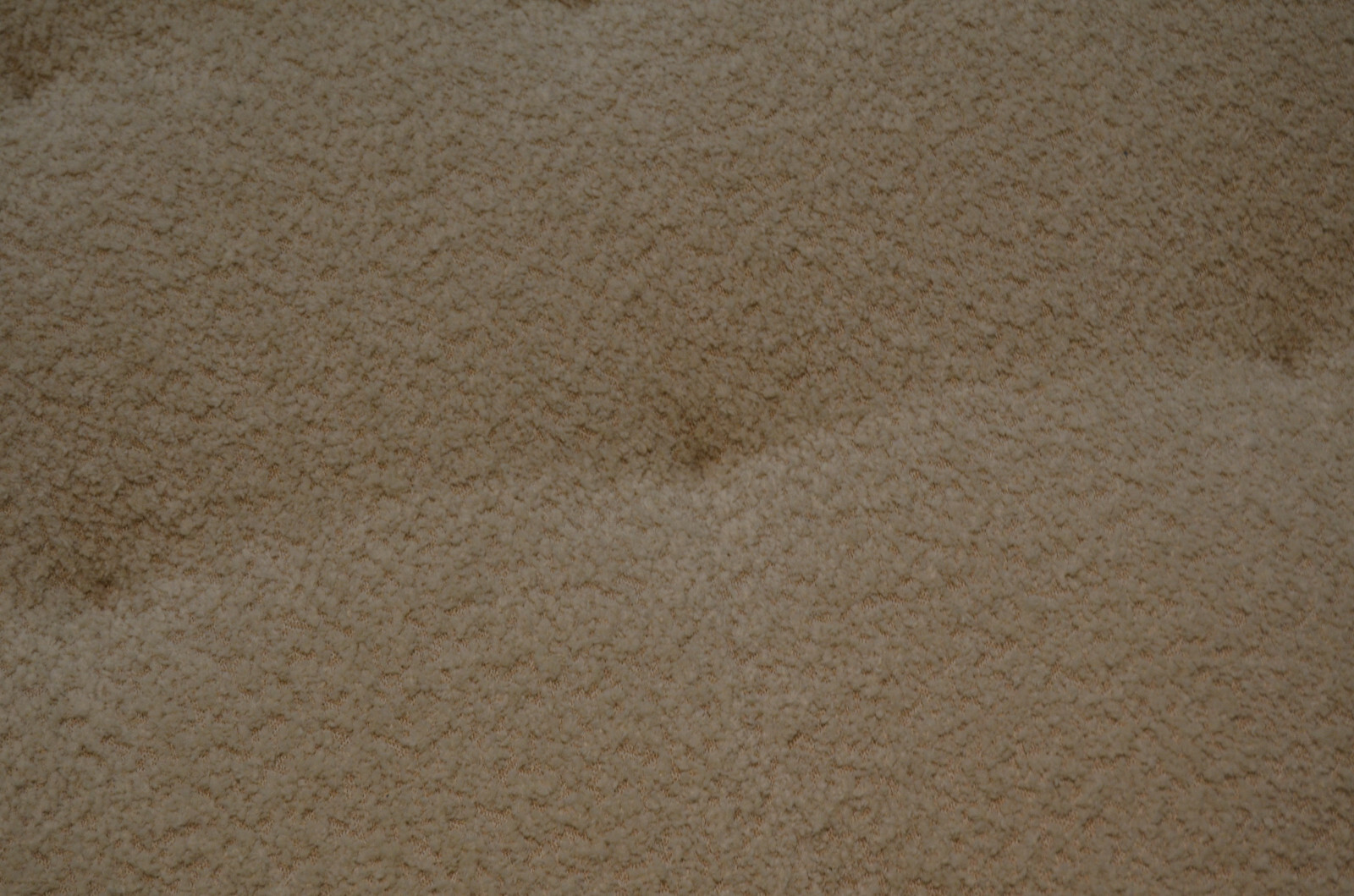 Picture 5 of 14