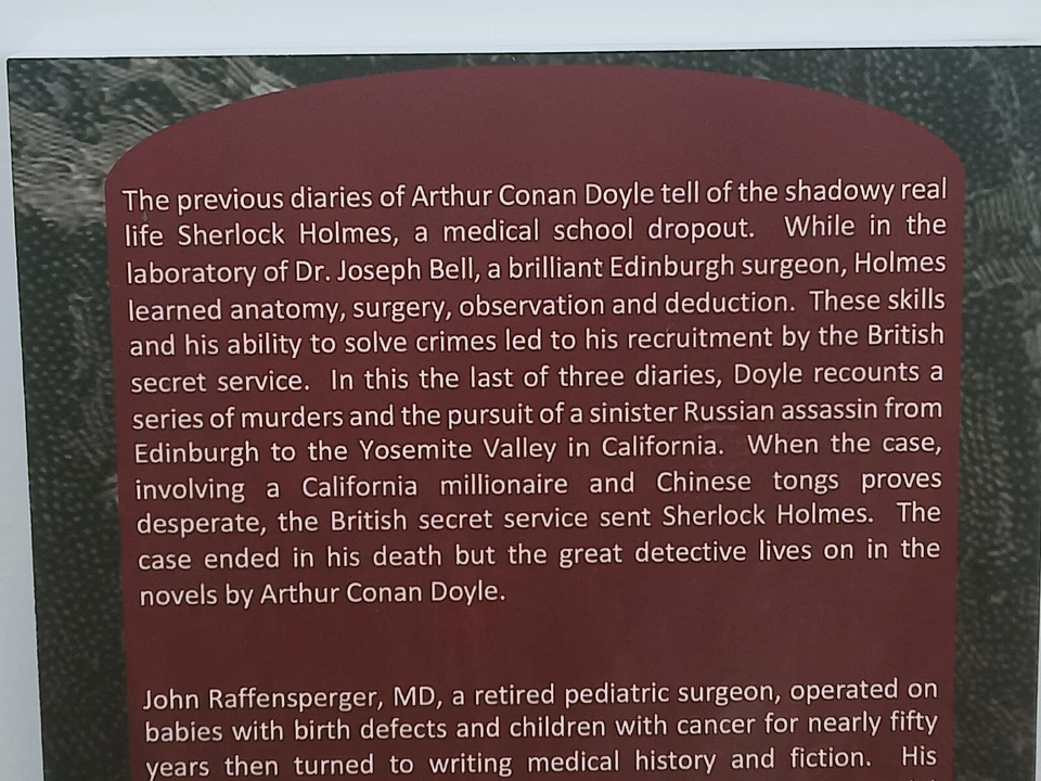 The Death of Sherlock Holmes (Young Arthur Conan Doyle) by John Raffensperger - image 3 of 4