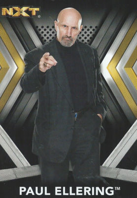 Paul Ellering 2017 WWE NXT Trading Card #38