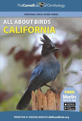 All about Birds California | Cornell Lab Of Ornithology | Englisch | Taschenbuch