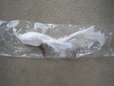 White Feathered Peacock Christmas Ornament W/ Wire to Attach 15" EUC