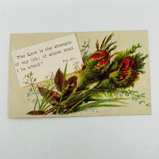 1880s Victorian Christian Verse Card Psalms 27:1 Rose Bouquet AH9-M7
