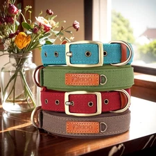 Nylon Dog Collar Soft Neoprene Padded Adjustable with Metal Buckle Heavy Duty
