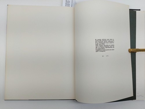 Bellani 16 litografie Foglio editore - Imagen 23 de 24
