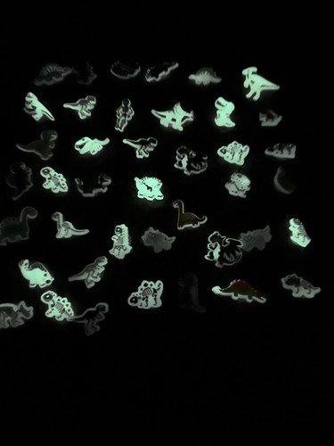 Jibbitz Dinosaur Lot Of 41 Glow In The Dark Croc Charms Unisex Back To School - Picture 9 of 9
