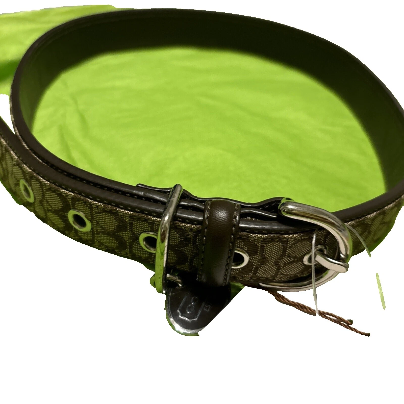 Coach XL Unisex Dog Collars