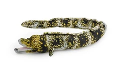 Eel, Moray, Spotted Realistic Cute Stuffed Animal Plush Toy Kids Gift 36" C08