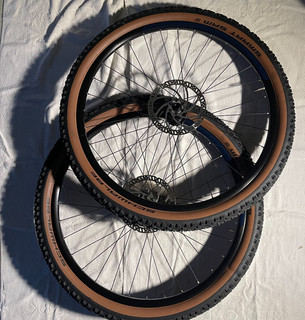 Komplettrad Schwalbe Smart Sam DX Raymon Components Tektro 29 Zoll E Bike