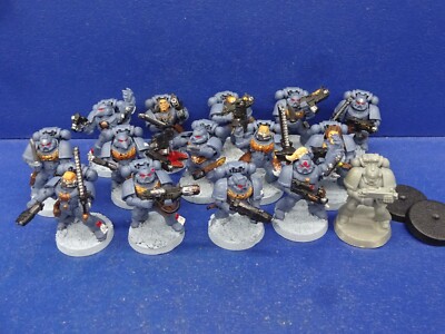 14+1 Grey Hunter / Blood Claws der Space Wolves