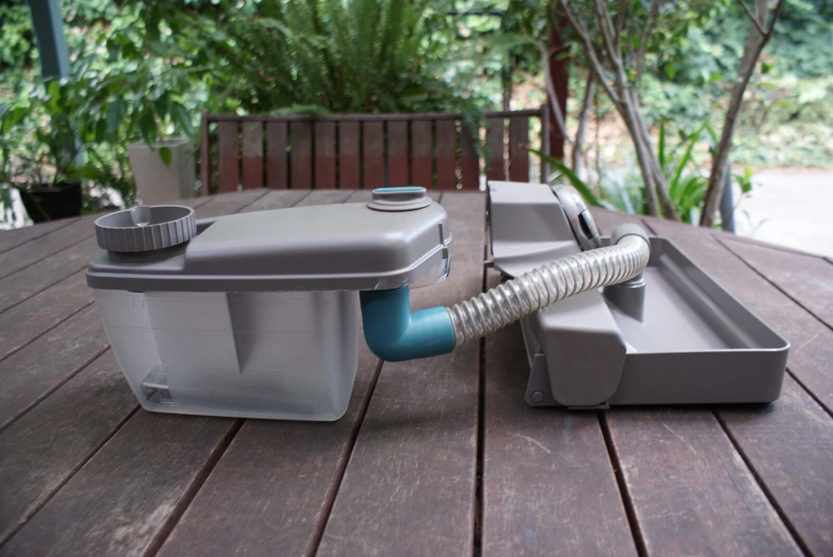 Kirby Carpet Cleaner Shampoo Substitute Two Birds Home