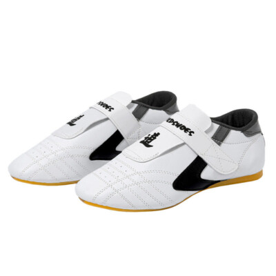 Taekwondo Schoenen Boksen Kung Fu Tai Chi Sport Gym Schoenen Voor Kinderen Volwassenen (Color : Red, Size : 42 EU