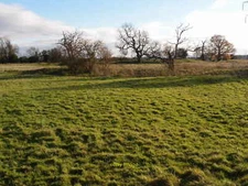 Photo 12x8 Torpel Manor Field Ashton Once part of a 60 acre Medieval Deer  c2012