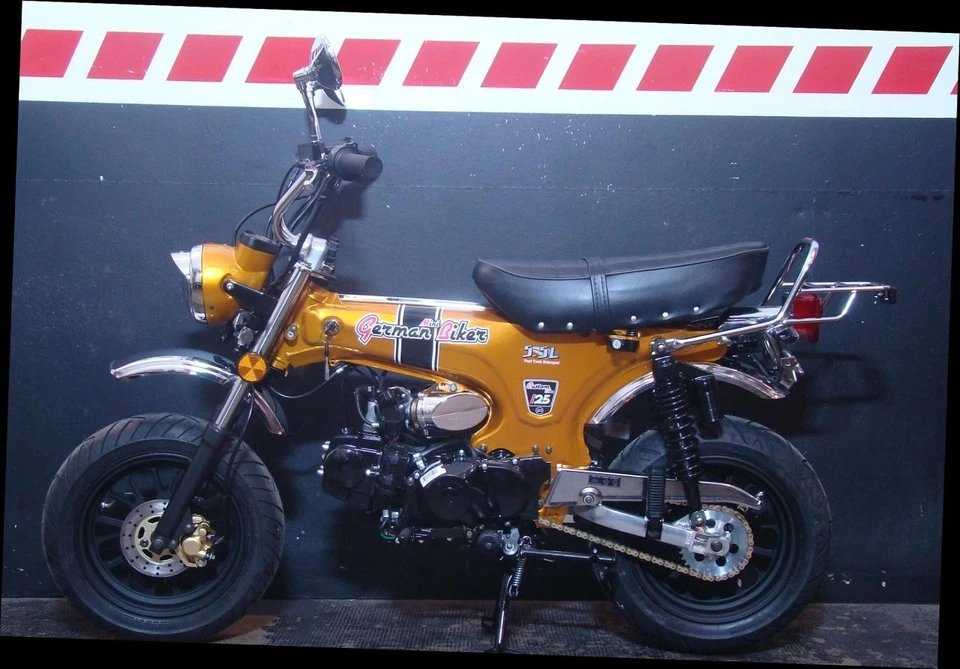 Skyteam Skymax 125 Special-Edition mit 12" Räder E5+ - Bild 4 von 4