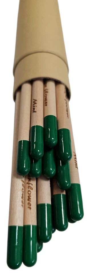 Set 60 Matite Piantabili con Semi e Nome Seme Inciso - Eco Gadget Sostenibile - Immagine 2 di 4