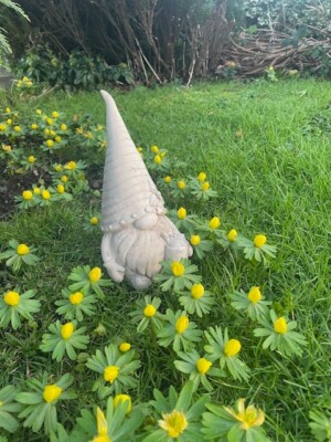Süßer Garten Gonk drinnen oder draußen