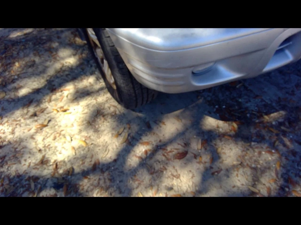 Hood 4 Door Fits 98-04 ISUZU RODEO 1143166 Foto 2 de 4