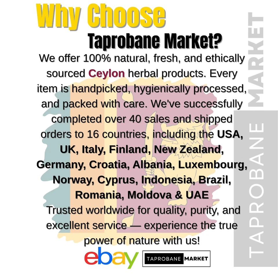 Palitos de canela de Ceilán de Sri Lanka 100 % puros orgánicos palitos de canela verdaderos Foto 3 de 4