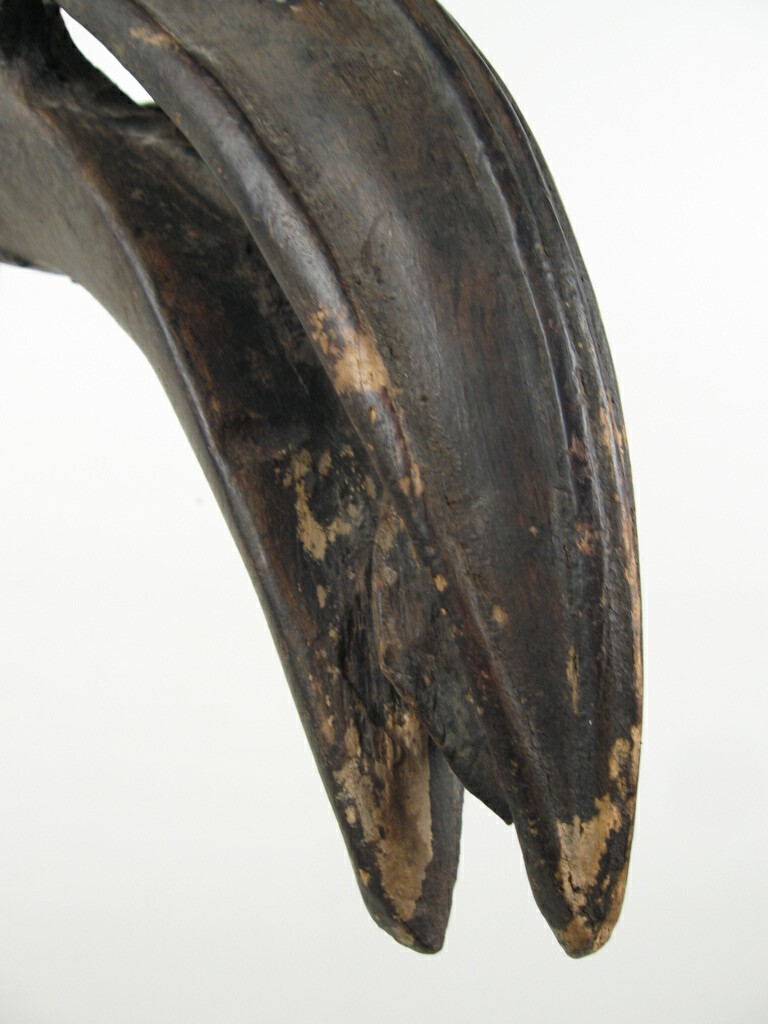 Picture 5 of 12