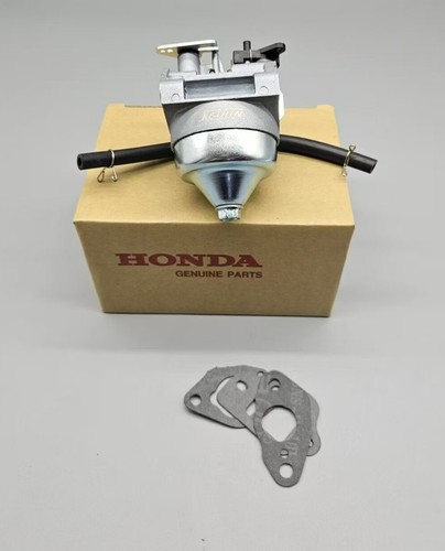 クロロ 71Llr23XDGL._AC_UF350,