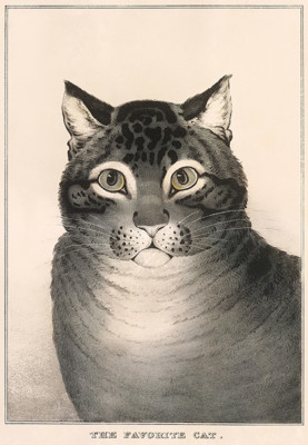 【CAT】　vintage poster Amazon.com: Palace Learning Tournée du Chat Noir by Theophile