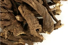 OSHA ROOT Whole Organic Native American Botanical Healing  Herb 1 Ounce Bag