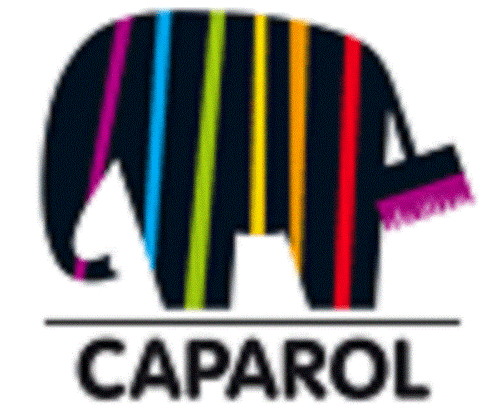 Caparol Muresko SilaC 12.5L Siliconharzfarbe Filmschutz g. Algen Pilzbefall - Bild 2 von 2