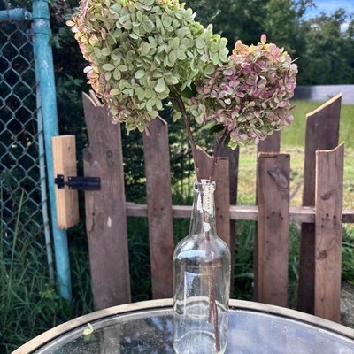 Real Preserved Hydrangea Stems 2pc Bouquet Sage Green Dusty Rose Pink Decor