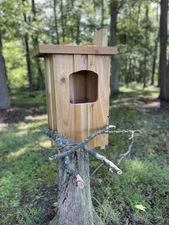 Cedar Barred Owl Nest Box Unfinished