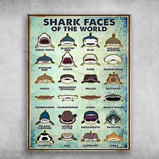 Shark Faces Of The World - Great White, Blacktip Reef, Blue, Oceanic Whiteup,...