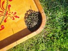 Bild 9 von 19