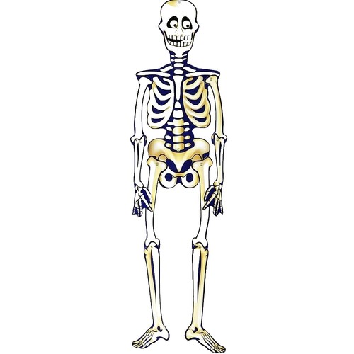 Personajes De Halloween Colgantes De Lana Mixta - Gato Calabaza