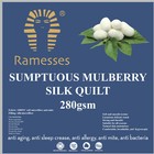 Luxury Mulberry Silk Touch Breathable Summer Quilt Doona Duvet All Bed Sizes