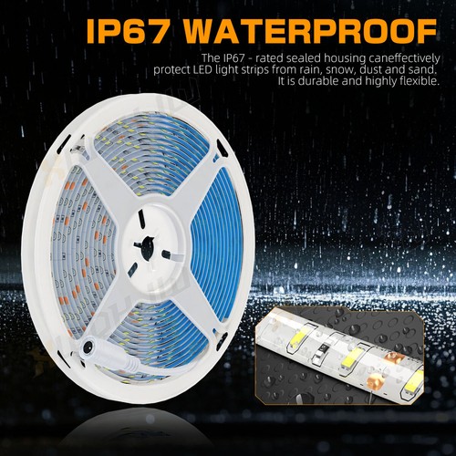 Bright 5050 White Waterproof SMD 300 LED Flexible Strip light 12V 5M 16.4ft US - Picture 4 of 9