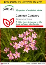 SAFLAX - Growing kit - Common Centaury - 250 Seeds