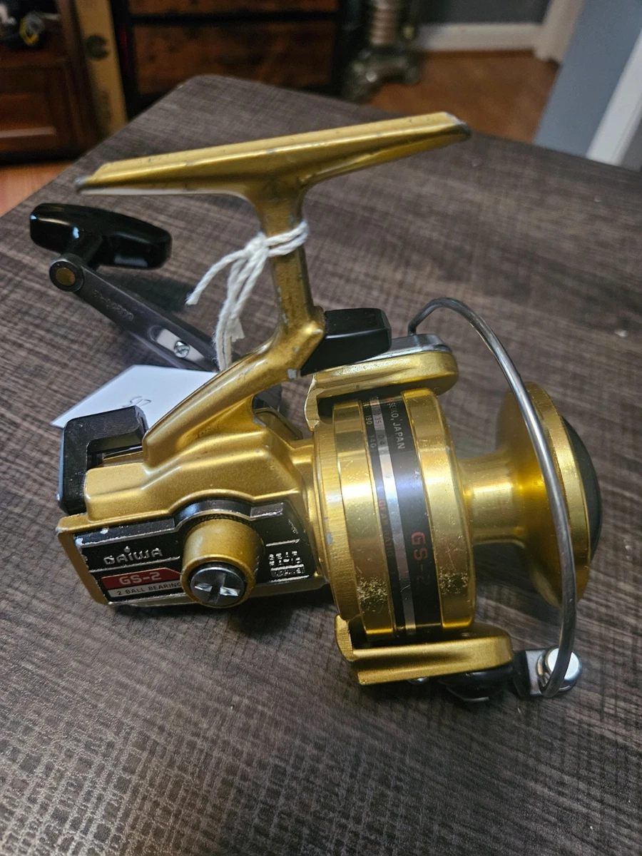 Daiwa Gs In Spinning Fishing Reels for sale | eBay