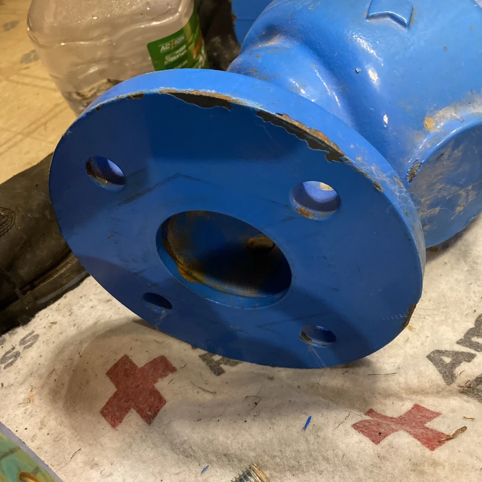 Colador WATTS 77F Wye Y 2-1/2" Clase 125 / 200 FF Brida | Cuerpo CI | Pantalla SS Foto 4 de 4