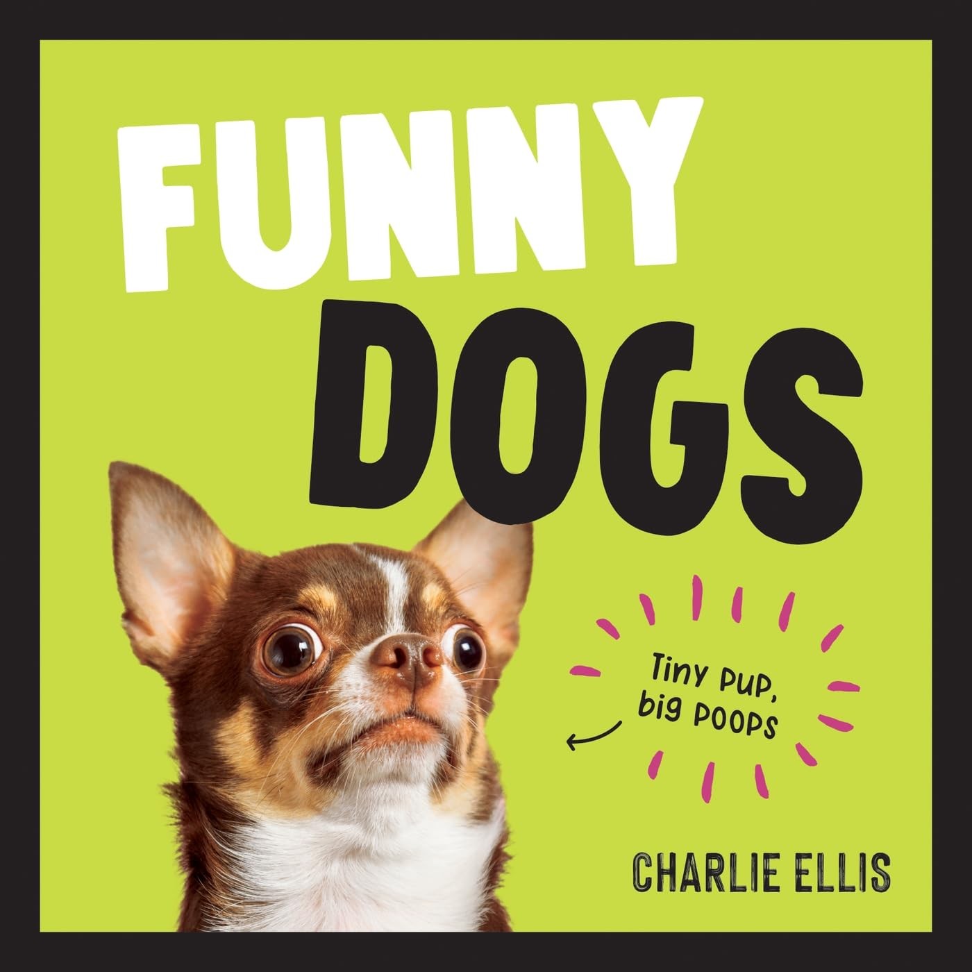 Funny Dogs - Image 10