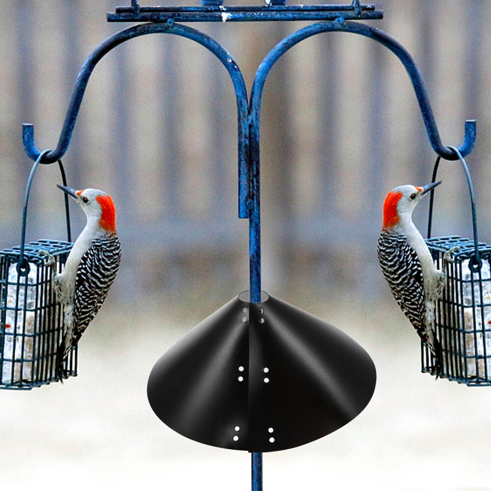 Raccoons Baffle Squirrel Dome Birds Feeder Protector Wide Squirrel