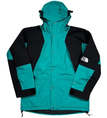 The North Face Men1994 Retro Mountain FutureLight  Jade Green Jacket NF0A4R52H8E
