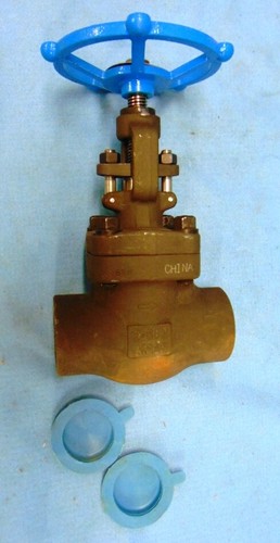 VALVOLA GLOBO AFFILATA, 2" SV44834TE020, FNPTXFNPT 1975 PSI, 1000°F CLASSE 800 - Foto 9 di 9