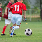 Bild 4 von 15