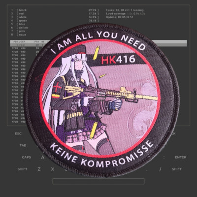 Girl's Frontline cosplay HK 416 GFL anime girl airsoft waifu morale milsim patch