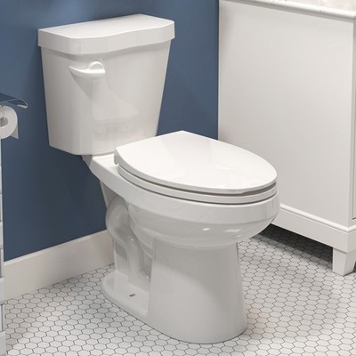 HOROW Elongated Two Piece Toilet with 17'' ADA Chair Height Dual Flush MAP 1000g