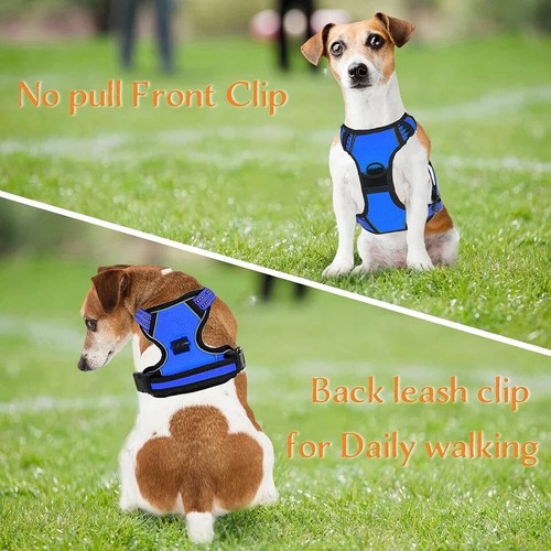 Imbracatura Regolabile Riflettente per Cani No-Pull + Guinzaglio Guinzaglio per Cani di Piccola Grande Taglia - Foto 21 di 25