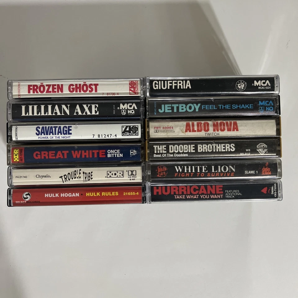 1980s Heavy Metal Hair Band Glam Rock Alt Cassette Tapes Lot of 12 - Imagem 3 de 4