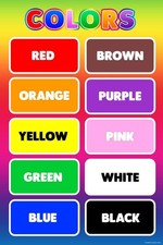 Colors Toddler Kids Education Educational Nursery Art Print Poster 16x24