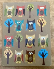 2008 Hardcover Writing Journal, Peter Pauper Press, Cute Owl Design