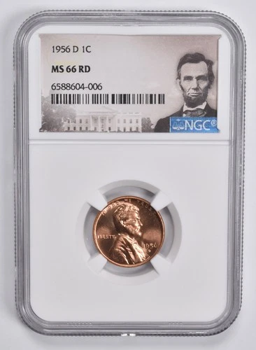 MS66 RD 1956-D Lincoln Wheat Cent Penny NGC Special Lbl *9451