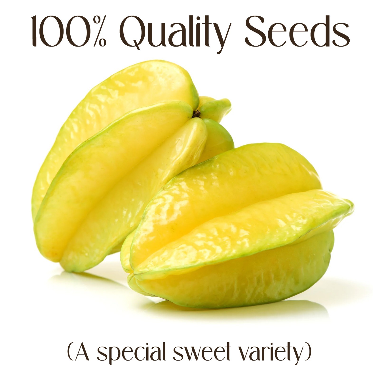 Semillas de frutas dulces 20+ estrellas orgánicas Carambola Averrhoa reliquia nuevas semillas frescas